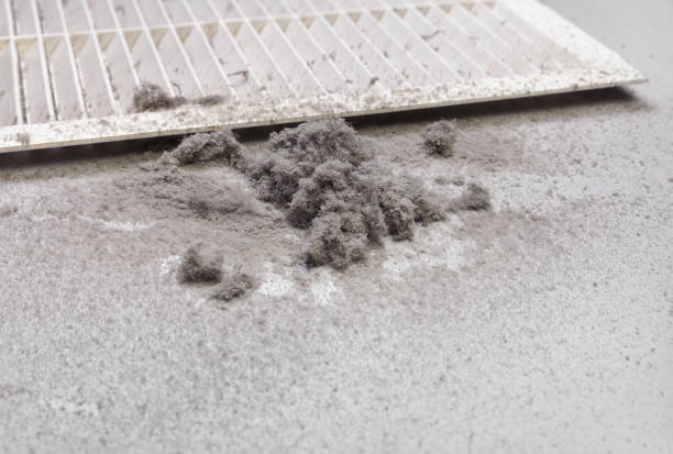 Best Best Air Duct Cleaning Company  in Privateer, SC
