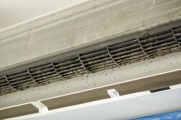  Privateer, SC Airduct Cleaning Pros